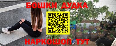 ГАЛЛЮЦИНОГЕННЫЕ ГРИБЫ Можга