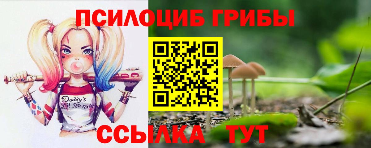 Полысаево  Галлюциногенные грибы MAGIC MUSHROOMS  Вход с VPN 